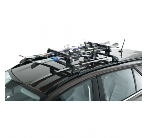 PORTASCI ALUSKI 5 DA TETTO...