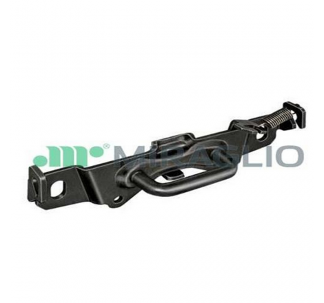 Piastra arresto gancio...