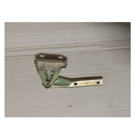 Cerniera cofano anteriore...