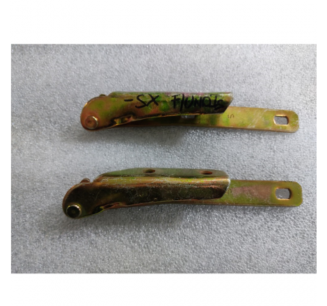 Cerniera cofano anteriore...