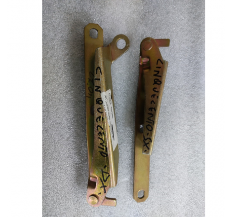 Coppia cerniere cofano...