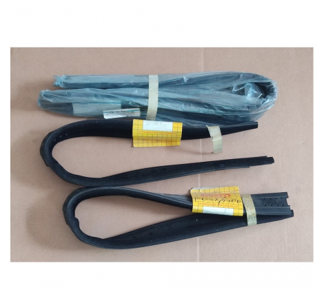 Guarnizione vetro porta...