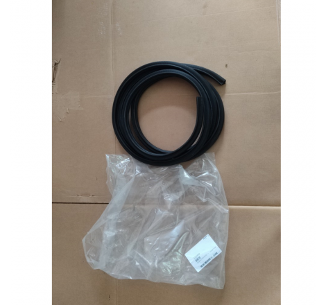 Guarnizione porte anteriore...