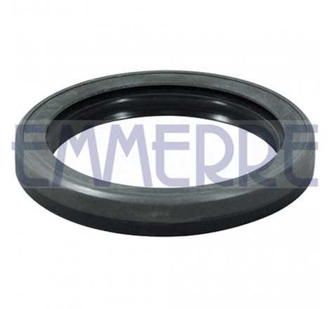 Anello paraolio posteriore...