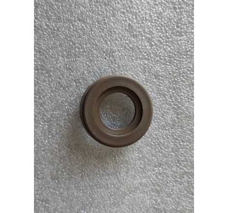 Mostrina anteriore e...