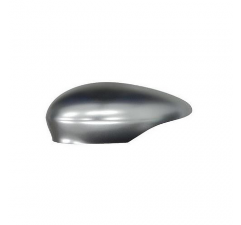 Calotta retrovisore...