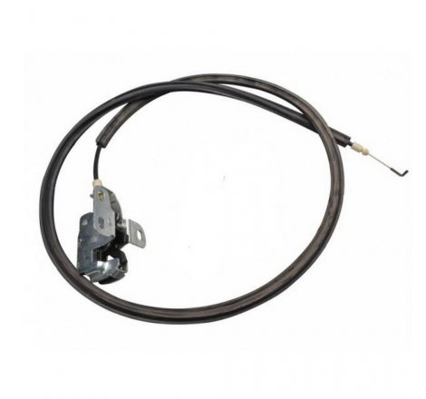 Serratura porta posteriore...