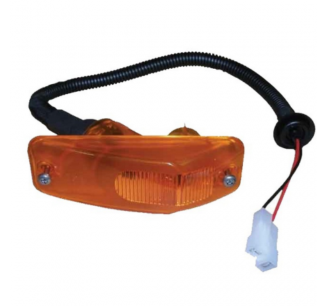 Fanale laterale dx sx Daf...