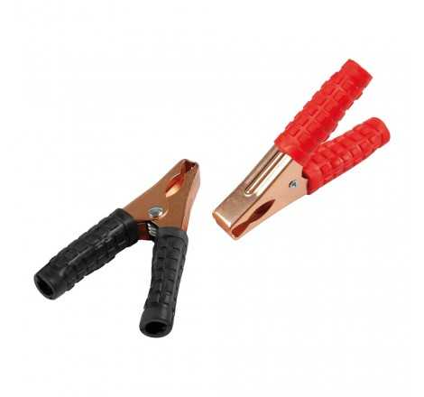 Coppia pinze batteria 60AH