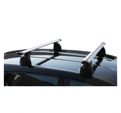 Coppia barre pacific...