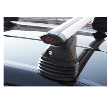 Coppia barre pacific...