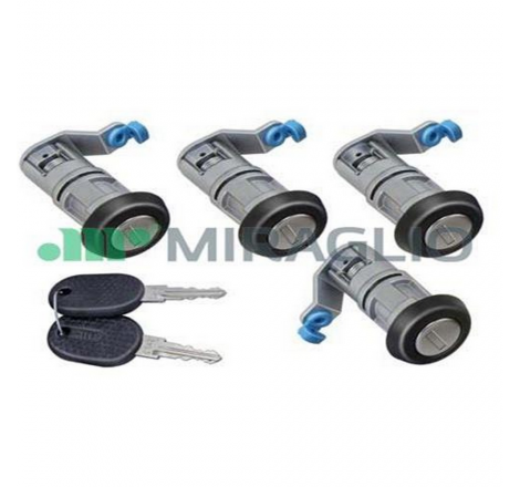 Impariglio boccole Iveco...